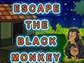 Spēle Escape The Black Monkey