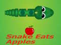 Spēle Snake Eats Apple