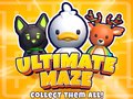 Spēle Ultimate Maze! Collect Them All!