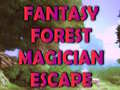 Spēle Fantasy Forest Magician Escape