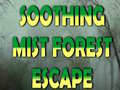 Spēle Soothing Mist Forest Escape