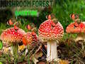 Spēle Mushroom Forest Adventure