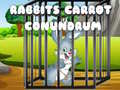 Spēle Rabbits Carrot Conundrum