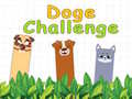 Spēle Doge Challenge