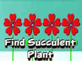 Spēle Find Succulent Plant