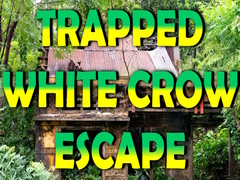 Spēle Trapped White Crow Escape