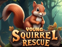 Spēle Young Squirrel Rescue