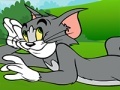 Spēle Tom and Jerry ATV Adventure