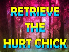 Spēle Retrieve The Hurt Chick