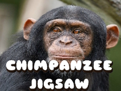 Spēle Chimpanzee Jigsaw