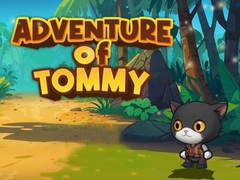 Spēle Advanture Of Tommy