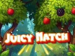 Spēle Juicy Match