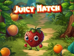 Spēle Juicy Match