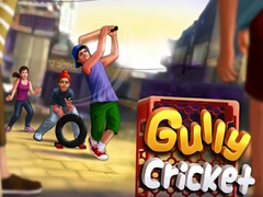 Spēle Gully Cricket