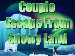 Spēle Couple Escape from Snowy Land