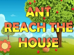 Spēle Ant Reach the House