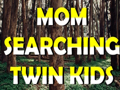 Spēle Mom Searching Twin Kids