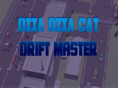 Spēle Oiia Oiia Cat Drift Master