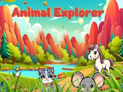 Spēle Animal Explorer 