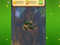 Spēle Magic Druid Memory Match