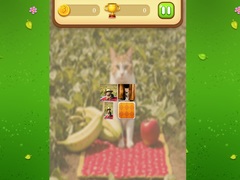 Spēle Farm Cat Memory Match