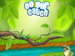 Spēle Colour Catch