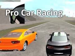 Spēle Pro Car Racing