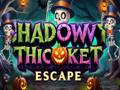 Spēle Shadowy Thicket Escape