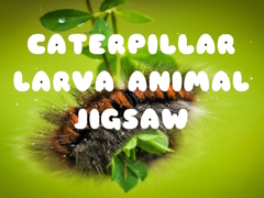 Spēle Caterpillar Larva Animal Jigsaw