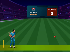 Spēle Cricket Night 2