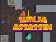 Spēle Ninja Assassin