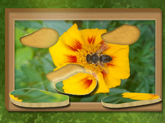 Spēle Find & Restore: Hidden Puzzle