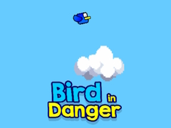 Spēle Bird in Danger
