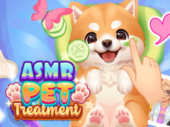 Spēle ASMR Pet Treatment