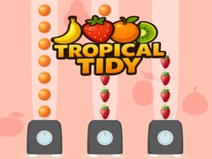 Spēle Tropical Tidy