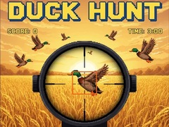 Spēle Duck Hunt