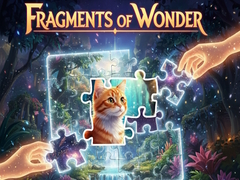 Spēle Fragments of Wonder