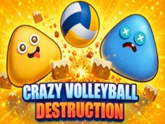 Spēle Crazy Volleyball Destruction