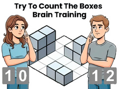 Spēle Try To Count The Boxes Brain Training