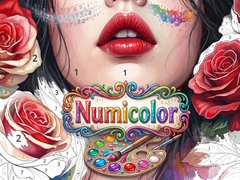 Spēle Numicolor