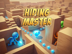 Spēle Hiding Master