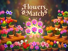 Spēle Flowers Match