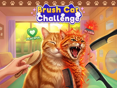 Spēle Brush Cat Challenge 