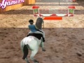 Spēle Horse Jumping 3D