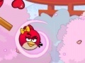 Spēle Angry Birds Lover