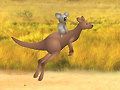 Spēle Outback Winds