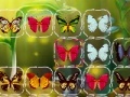 Spēle Butterfly Connect