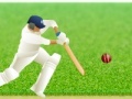Spēle Cricket Defend the Wicket!