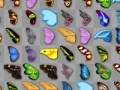 Spēle Butterfly kyodai