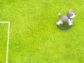 Spēle Pet soccer